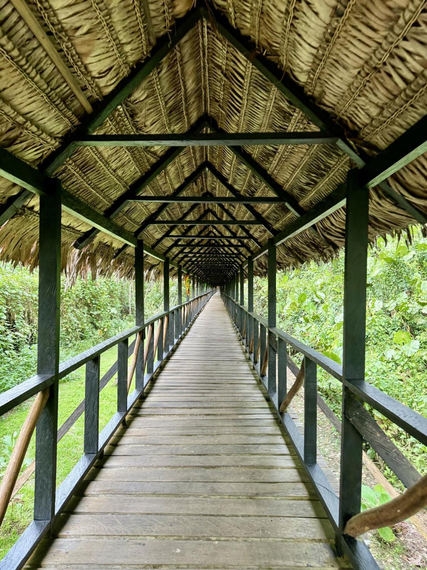 Biohotel Arara River Leticia Exterior photo